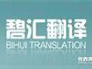 上海德語翻譯與新興能源技術(shù)研發(fā) 如何選擇專業(yè)翻譯服務(wù)